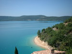 hirondelle sur le lac