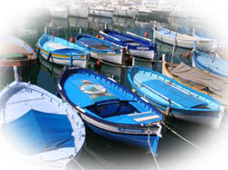 barques de pêche