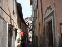 Tende petie rue