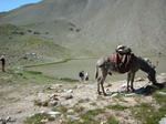 &acirc;ne